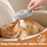 Steam Pet Brush