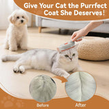 Steam Pet Brush
