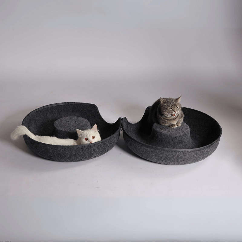 Charcoal Grey
