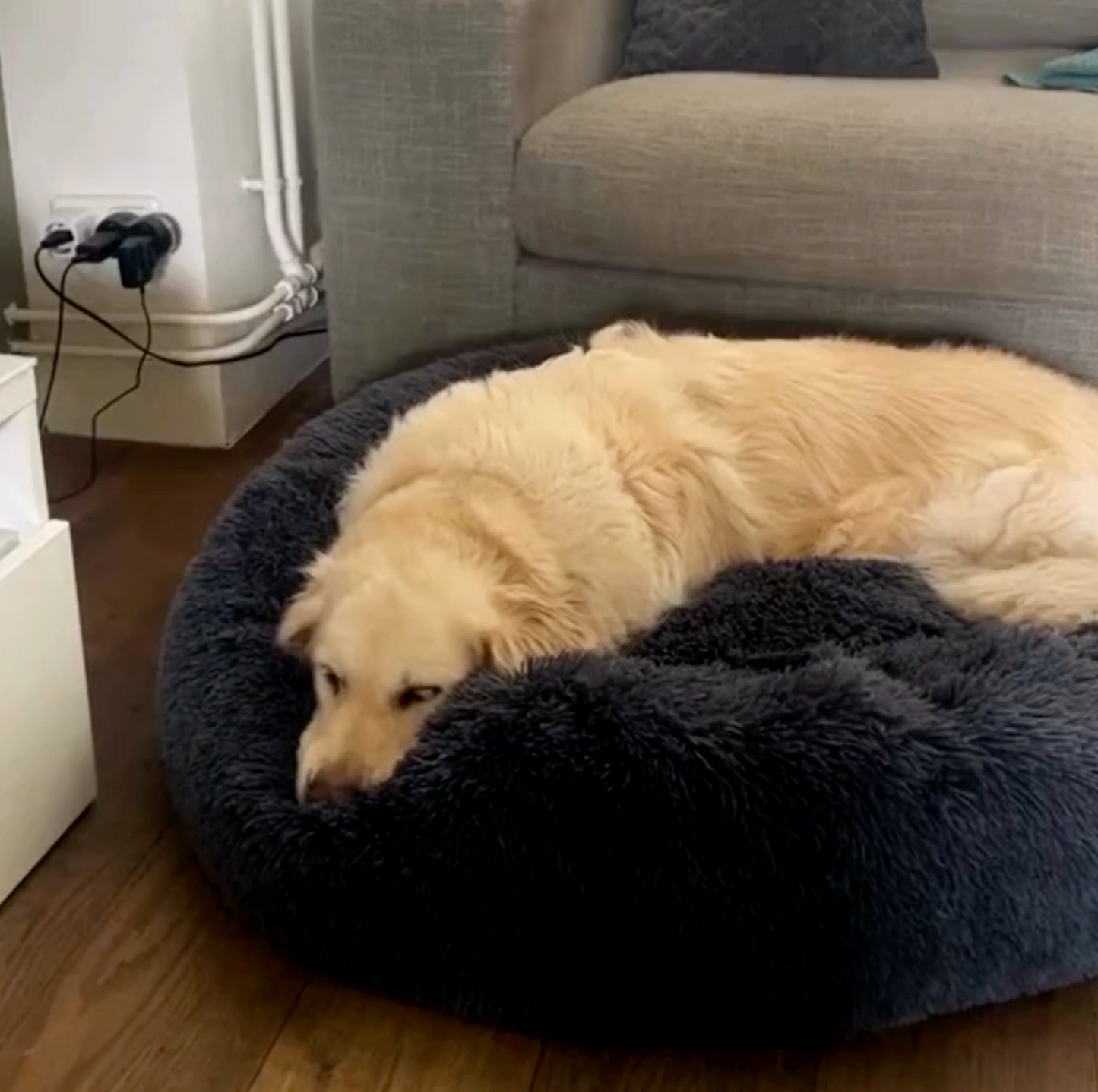 Calming Donut Pet Bed