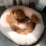 Calming Donut Pet Bed