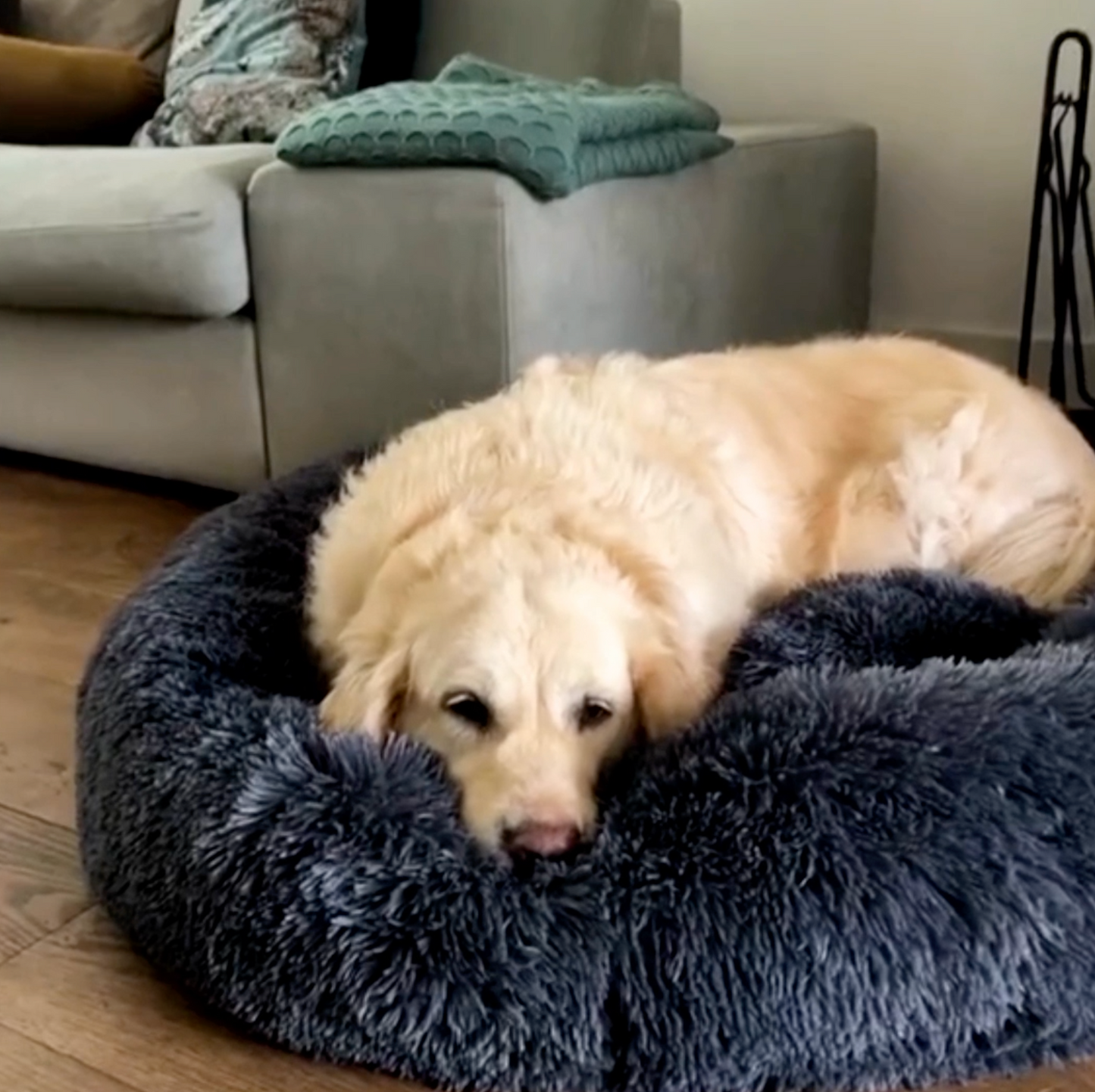 Calming Donut Pet Bed